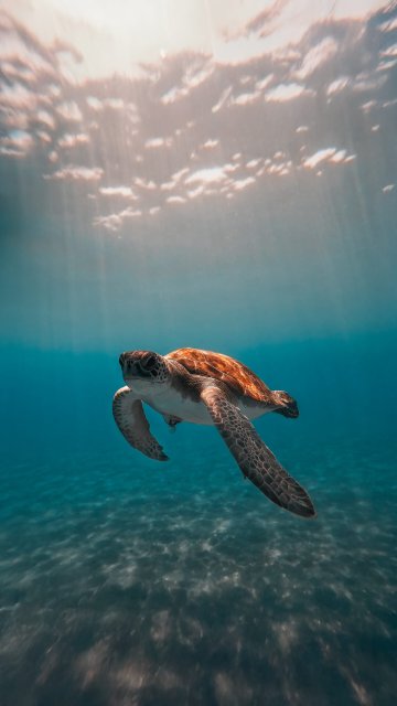 Mahmut Gün Batımı